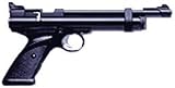 2240 CO2 .22 Pellet Pistol