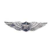 Silver Pilot Wings Pin for Military or Steampunk Uniform