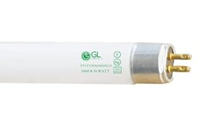 Goodlite G-20243 F54T5/850/HO/ECO Straight 54-Watt 45.80-Inch Inch T5 Linear Fluorescent Lamp Mini Bi Pin Base, 5000K, 40-Pack