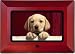 Nextar 7 LCD Digital Photo Frame - N7107 Interchangeable Frames, Black, Red