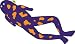 Spotted Le Frog 2.1 M Kite