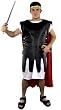 Gladiator Adult Costume