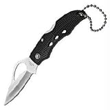 Spyderco Byrd Finch Reinforced Nylon Plain Edge Knife