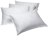 Regency 95% Feather / 5% Down Jumbo Pillow, Set of 4