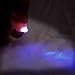Animal Key Ring Torches (Pig)_s-2