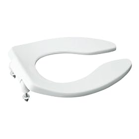 Kohler K-4666-SA-0 Lustra Toilet Seat with Self-Sustaining Check Hinge and Antimicrobial Agent, White