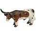 Latex Stuffed Texas Longhorn Dog Toy