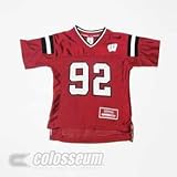 Wisconsin Badgers Officially Licensed Toddler Jersey - Youth (4)