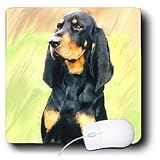 31fuXtJIItL. SL160  Buy Black And Tan Coonhound Items