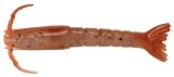 Berkley Gulp! Saltwater 2" Shrimp, New Penny