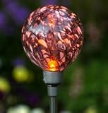 Solar Garden Light Firefly Sea Anemone 31fw8b9rs1L. SL160 Solar Garden Light Firefly Sea Anemone