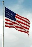 New Jersey State Flag