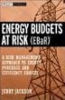 Energy Budgets at Risk (EBaR): A Risk Management Approach to Energy Purchase and Efficiency Choices (Wiley Finance)