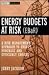 Energy Budgets at Risk (EBaR): A Risk Management Approach to Energy Purchase and Efficiency Choices (Wiley Finance)