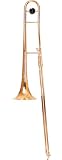 Ravel Tb102 Student Tenor Trombone - B001DESLY4
