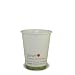 Planet+ 8-Ounce PLA Laminated Compostable Hot Cup, 1000-Count Case,  Boxes