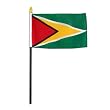 Guyana Flag 4 x 6 inch