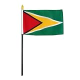 Guyana Flag 4 x 6 inch