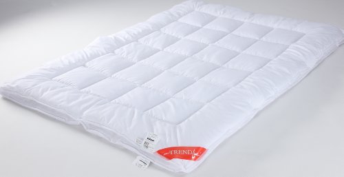 Badenia Bettcomfort 03753448243 4-Jahreszeiten-Steppbett Trendline Micro Kochfest 140 x 22 Preisvergleich