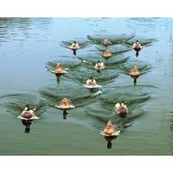 Wings and Legs Jerk A Spreader Decoy String System by 