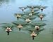 Wings & Legs Jerk A Spreader Duck Decoy String System