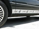 Philadelphia Eagles Car Trim Magnets
