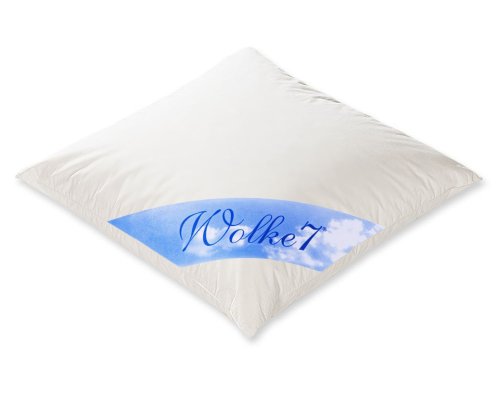 WOLKE 7 - 975.22.003 DREI - KAMMER - KISSEN 80x80 cm / 800 gr. Preisvergleich