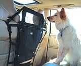 Backseat Barrier Pet Protector