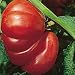 Organic Zapotec Pleated Slicing Tomato - 50 Seeds