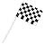 Checkered Flag Racing Cupcake Picks - 24 ct