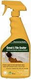31fzCHjodoL. SL160  CUSTOM BLDG TLPSQT 3 GROUT & TILE SEALER