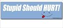 Stupid Should Hurt Bumper Sticker Decal
