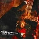 Black Cherry(初回限定盤)(DVD付)