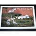 The White Egret