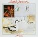 Avocet