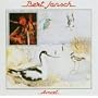 Avocet
