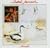 Avocet