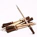 Witches Broom Pen