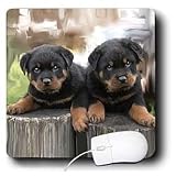 image link - - B002O1N1OU