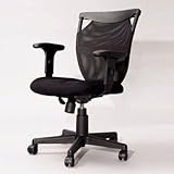 Swivel Desk Arm Chair