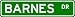 BARNES Street Name Sign ~ Personalized Family Lastname Sign ~ Gameroom, Basement, Garage Sign