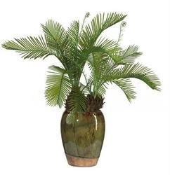 Cycas w/Glazed Vase Silk Plant