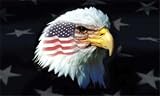 Patriotic Eagle Flag 3ft x 5ft Polyester