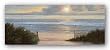 Summer Moments II by Diane Romanello 40"x16" Art Print Poster