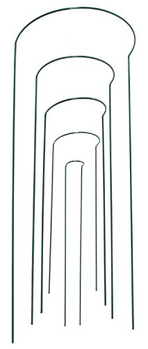 Gardman R742 Half Hoop Plant Support, 8