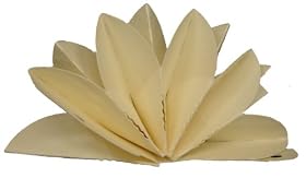 ���傱���ƃI�A�V�X�p�����t�B���^�[ ��
