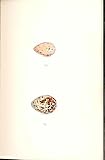 2 H/C Meyer Bird EGGS 1842 LITTLE STINT & DUNLIN