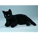 EBO 55960 - Hauskatze, 50 cm lang, asymmetrisch liegend, schwarz