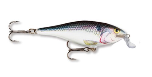 Rapala Shallow Shad Rap 09 Fishing lure, 3.5-Inch, Shad