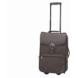 Vintage Destination 21 Upright Luggage Color: Brown